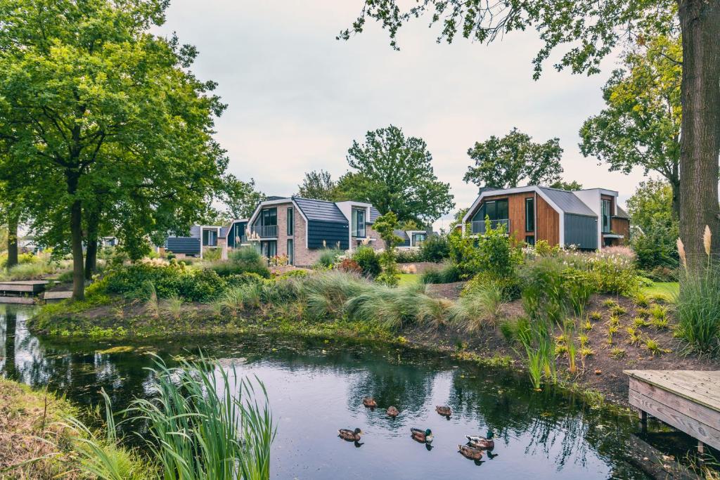 a row of colourful homes next to a pond with ducks at Europarcs Zuiderzee in Biddinghuizen