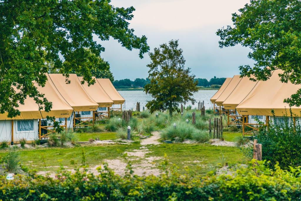 a row of buildings with a lake in the background at Europarcs Zuiderzee in Biddinghuizen