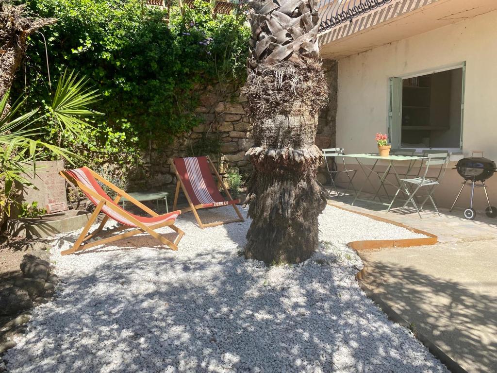 Gîte Le Palmier - Perfectly located cosy studio with private garden - Apartamento De Una Habitación