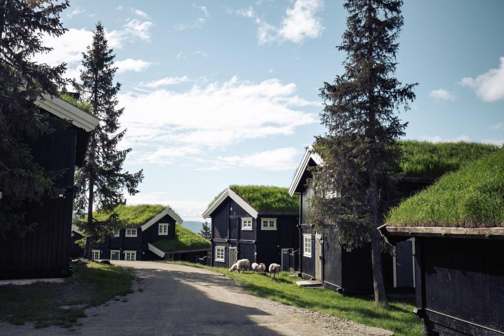 een groep zwarte huizen met schapen die over een weg lopen bij GudbrandsGard Hyttegrend Kvitfjell in Kvitfjell