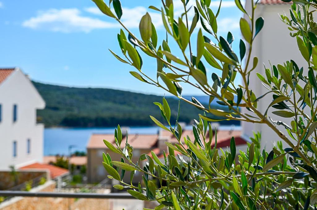 a tree with a view of a town at Apartment Perlitto in Cres