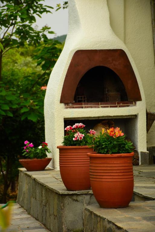 Zahrada ubytování Villa Monte Kariotes