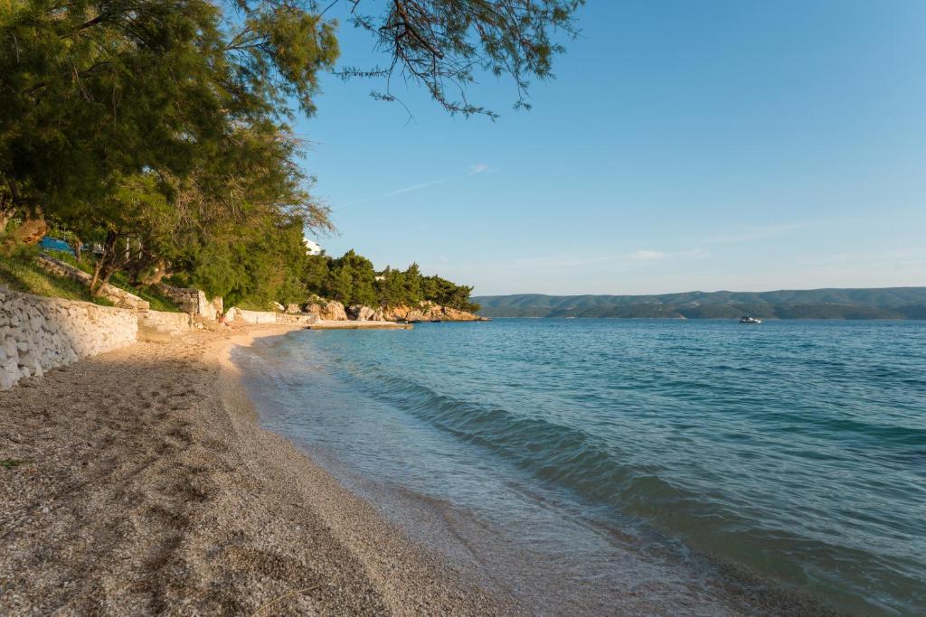 Príroda v okolí vily