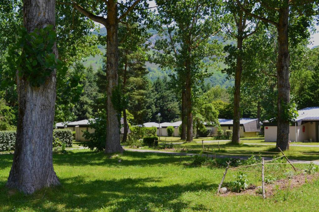 un groupe d'arbres dans un champ avec des maisons dans l'établissement Les gîtes de Beille, aux Cabannes