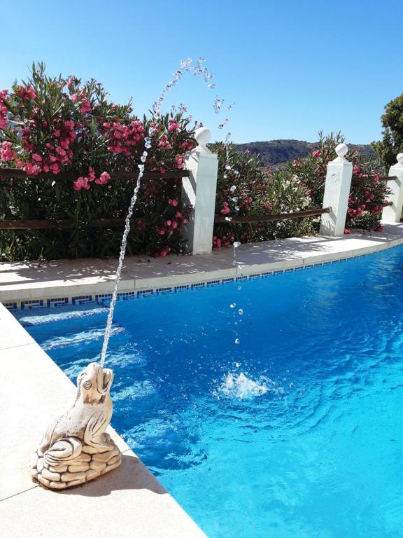 una piscina con un columpio en el agua en Apartamento bella vista, en Coín