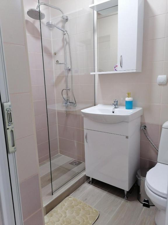 Borche Apartments - One-Bedroom Apartment