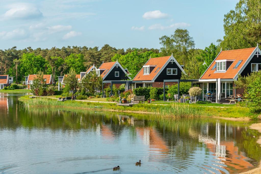 a row of houses on the shore of a lake at EuroParcs De Zanding in Otterlo