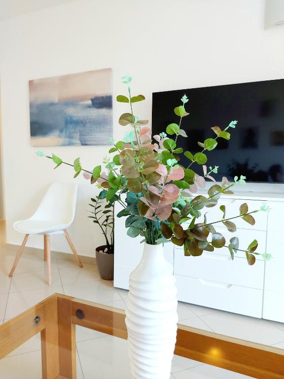 TV a/nebo společenská místnost v ubytování Apartman Anna