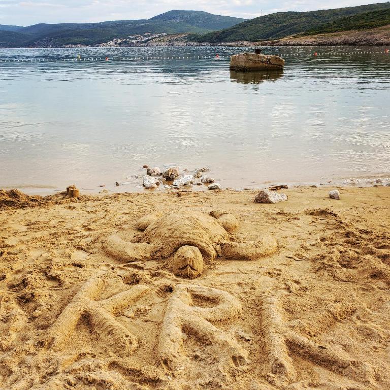 Przyroda w pobliżu tego apartamentu