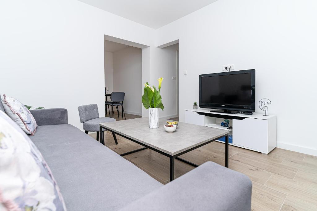 Bokarica Apartments في Gruda: غرفة معيشة مع أريكة وتلفزيون