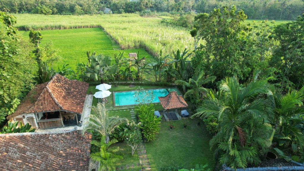 Zahrada ubytování Blue Garden Yogyakarta