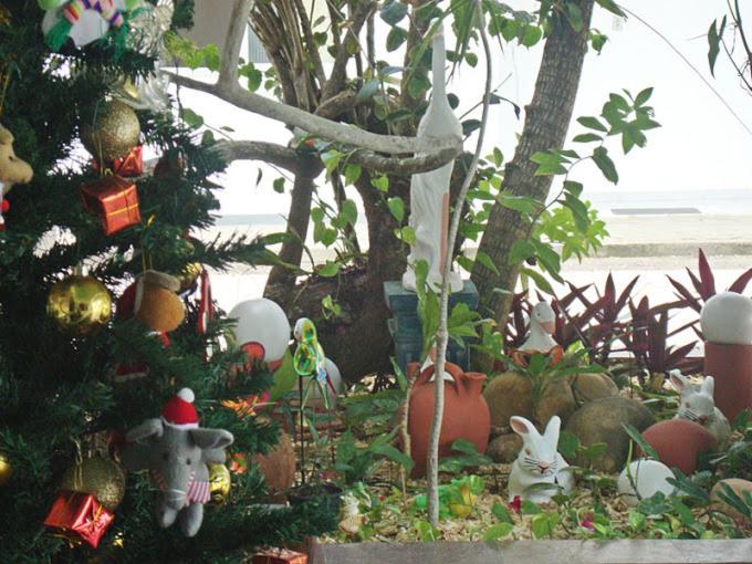 Zahrada ubytování Hotel Pousada Terras do Sem Fim