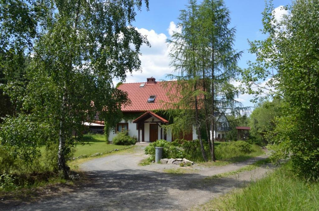 uma casa com um telhado vermelho e uma estrada de terra em Dom Na Pstrążnicy em Kudowa-Zdrój