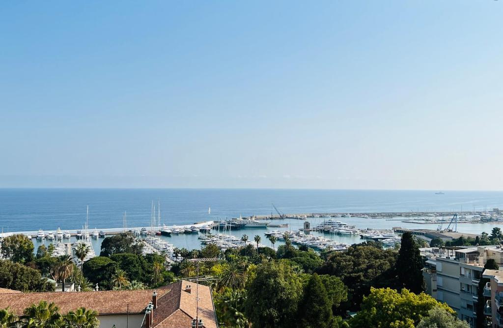 widok na port z łodziami w wodzie w obiekcie Special Home VISTA MARE e Parcheggio privato w San Remo