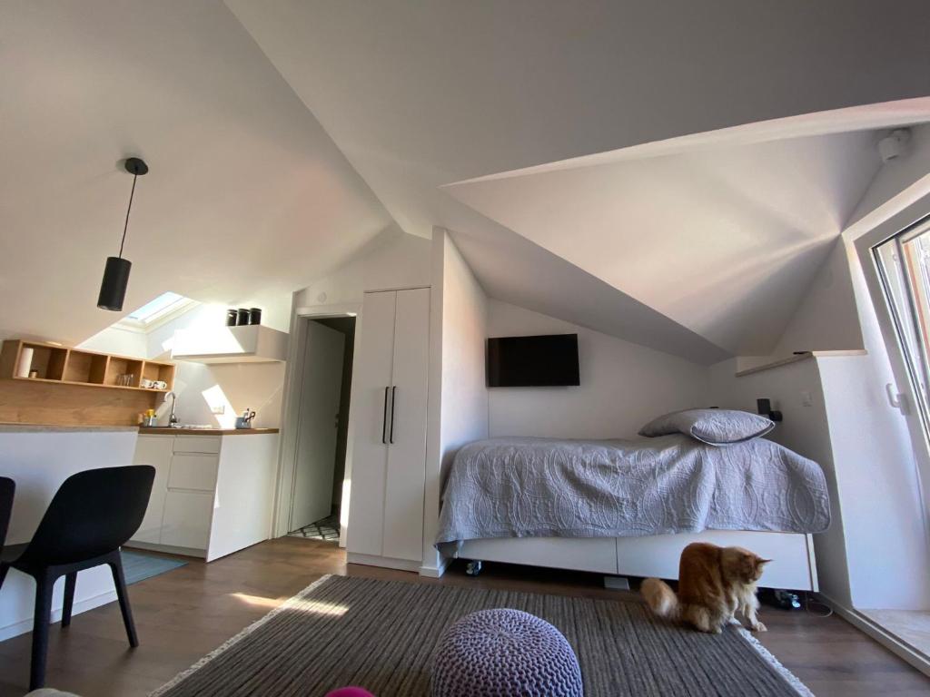 SUN&MOON Design Studios KRK - Studio With Sea View
