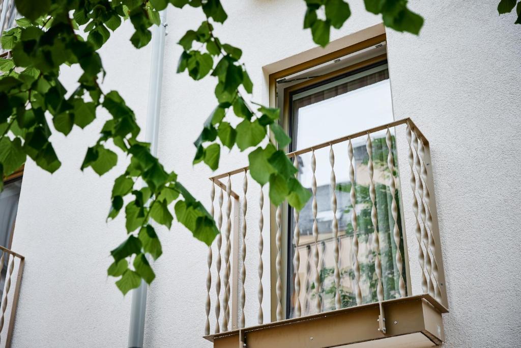 Balkón nebo terasa v ubytování Boutiquehotel Zum Goldenen Hirschen