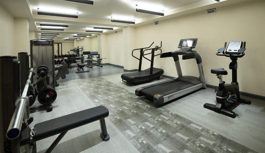 Fitness centrum a/nebo fitness zařízení v ubytování Sphera by Stellar Hotels, Yerevan