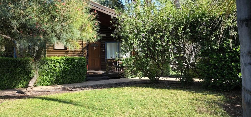 Zahrada ubytování Pine Tree Cabin