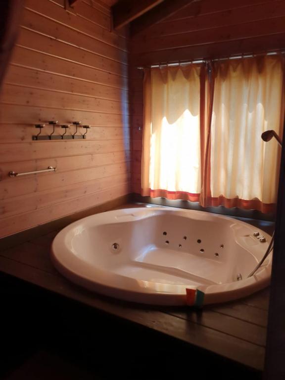 Fotografie z fotogalerie ubytování Pine Tree Cabin v destinaci Ramot
