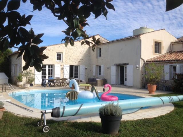 a pool with two inflatable flamingos in front of a house at Maison ancienne avec piscine au milieu des vignes 