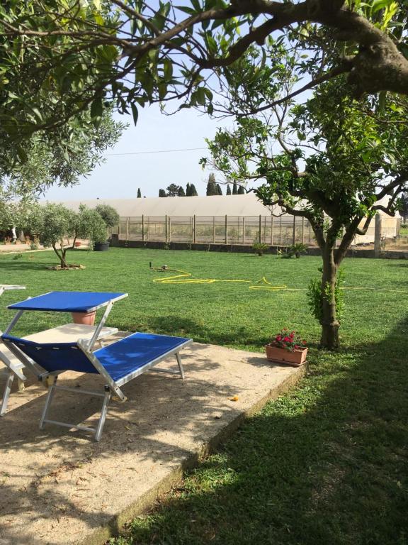 A garden outside Villa Daniele