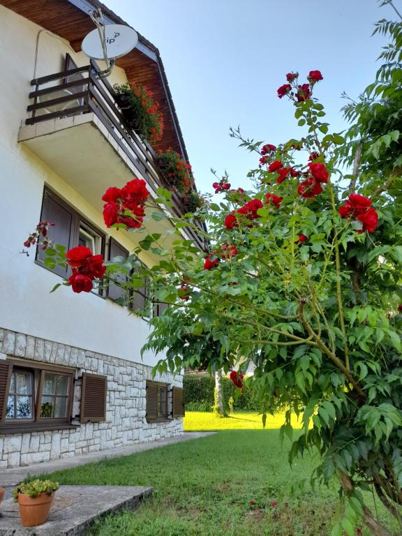 Κήπος έξω από το House Draga Plitvice