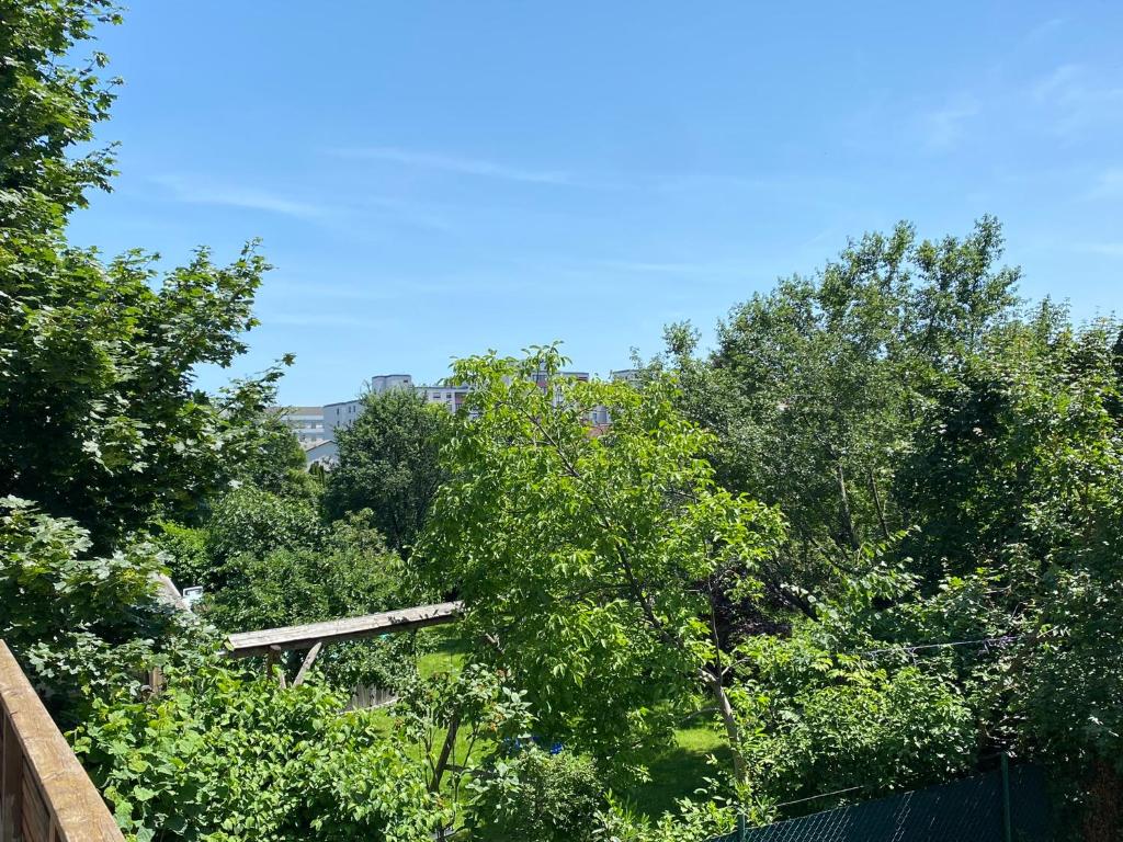 Príroda v okolí apartmánu