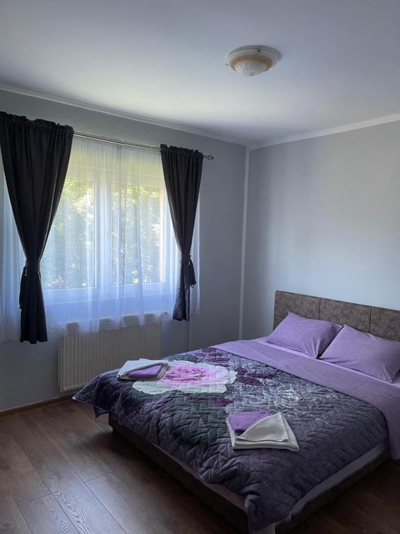 Apartments Lalović - 11