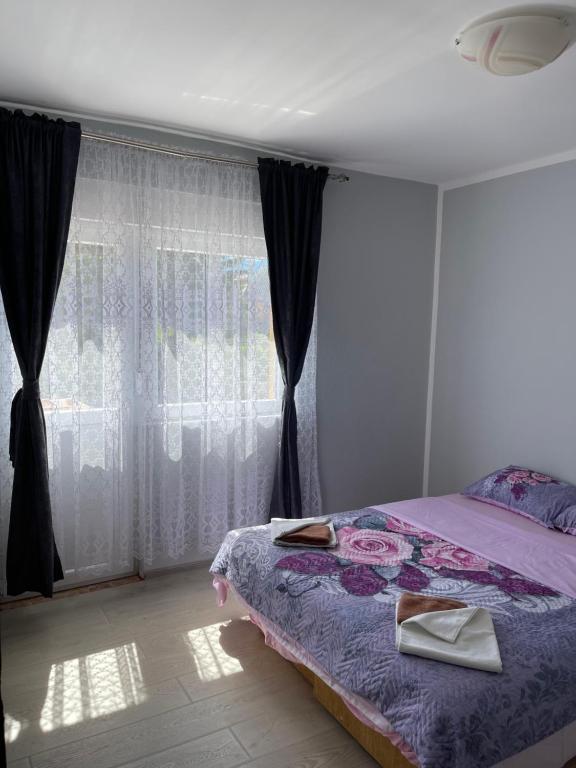 Apartments Lalović - 14