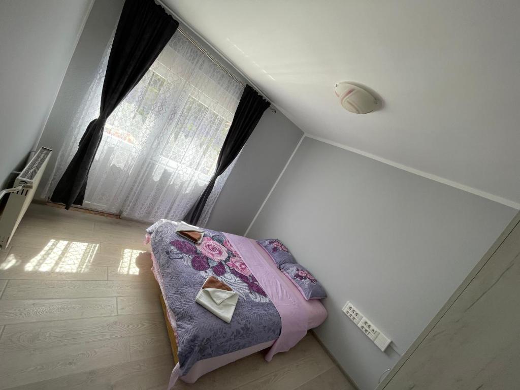 Apartments Lalović - 13