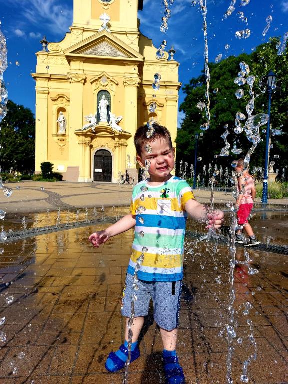 Belvárosi Apartmanszálló - Kiskunfélegyháza - Apartamento Con Terraza