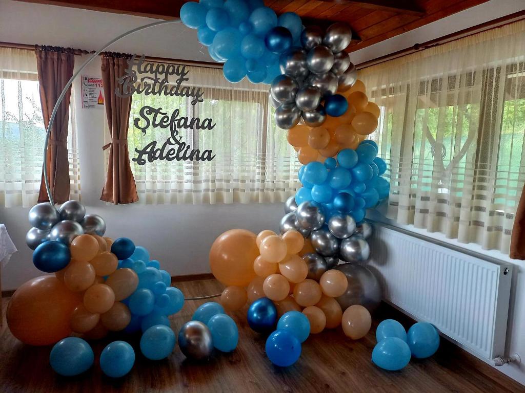 Foto sihtkohas Moigrad asuva majutusasutuse Vatra Strabunilor galeriist