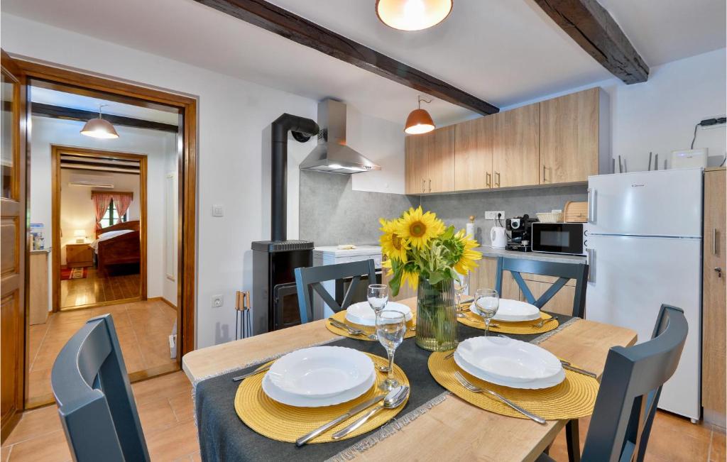 Kuchnia lub aneks kuchenny w obiekcie Beautiful Home In Cestica