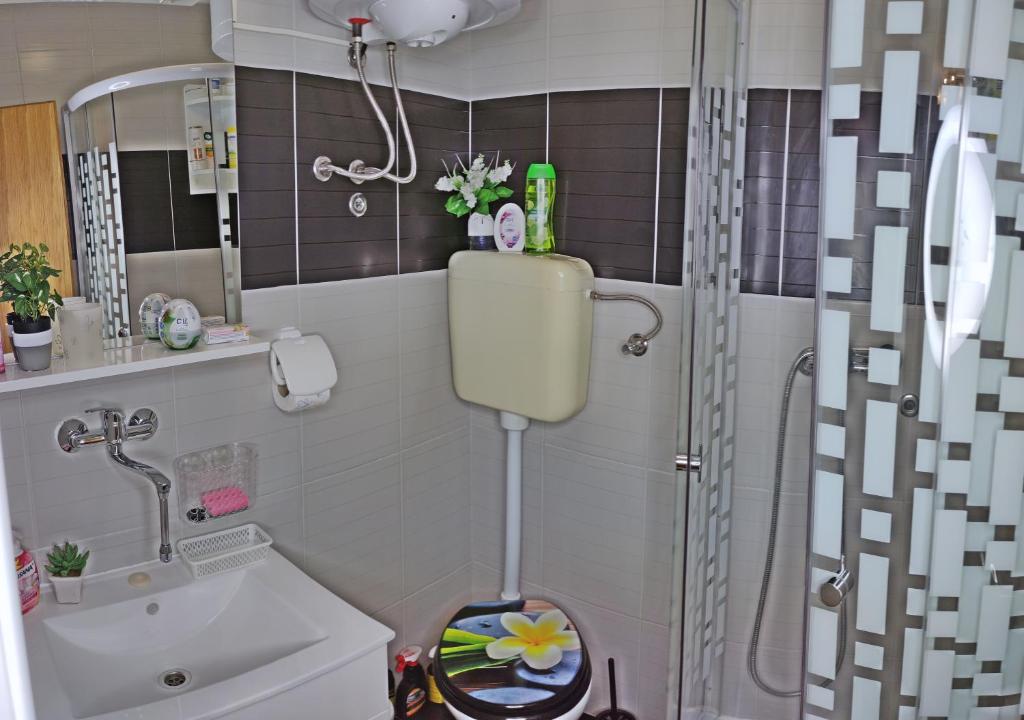 Koupelna v ubytování Apartmani Anastazija