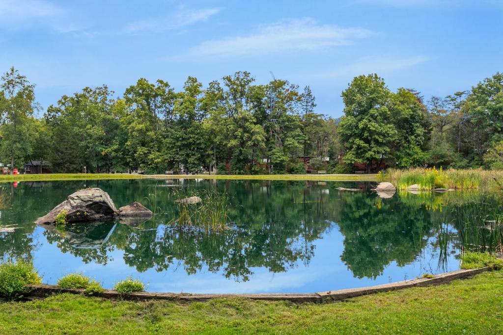 a pond in a park with trees in the background at Drummer Boy Camping Resort in Gettysburg