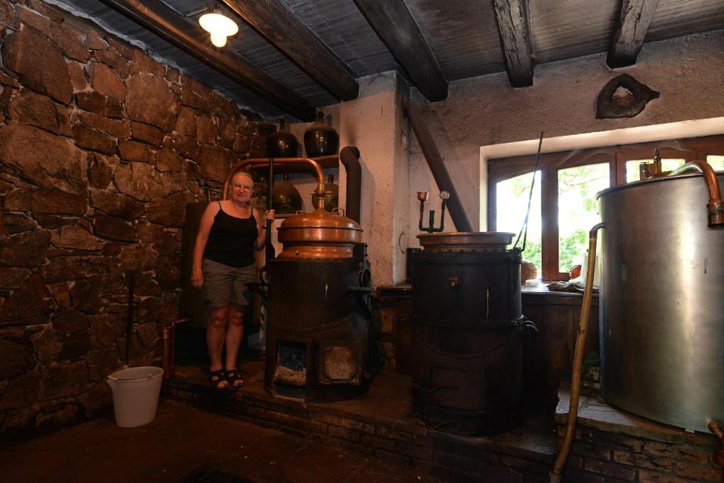 s'Harzala Vert – photo 16