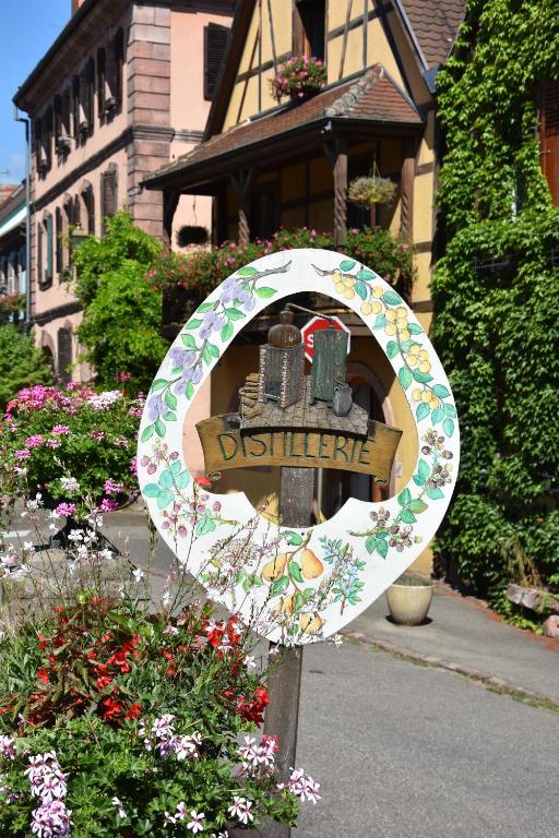 s'Harzala Vert – photo 30
