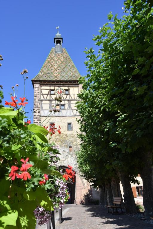 s'Harzala Vert – photo 31