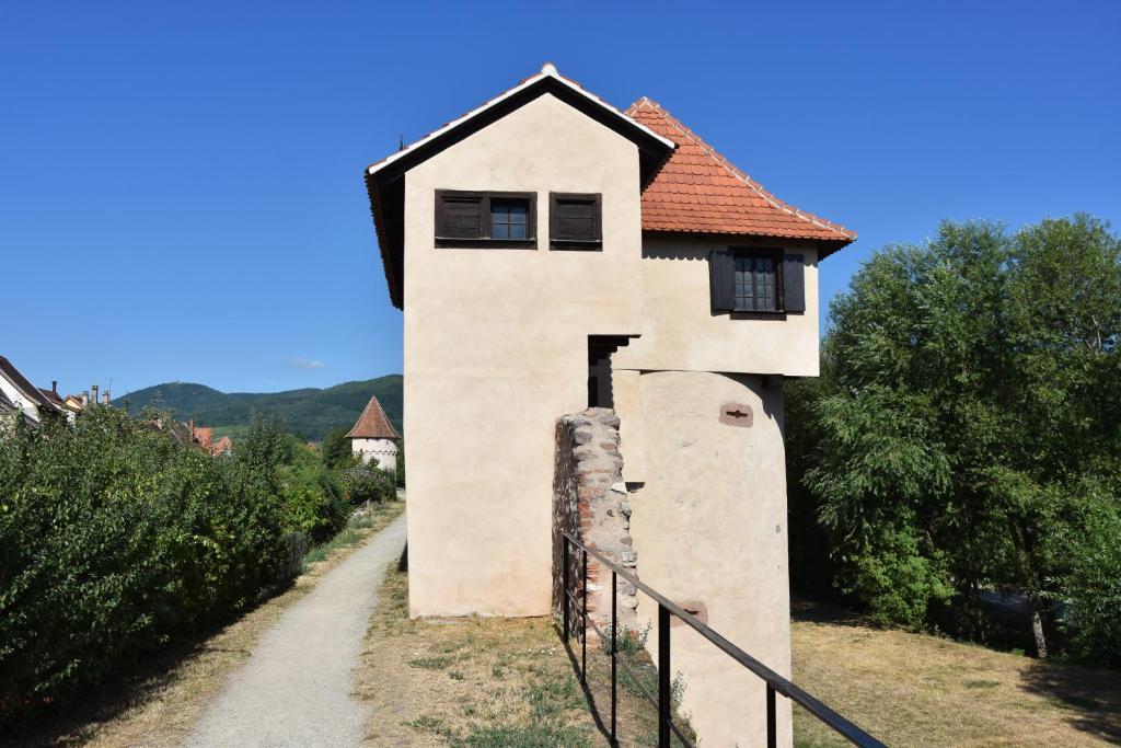s'Harzala Vert – photo 33