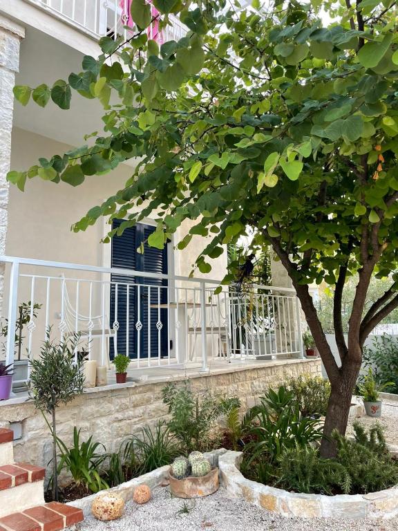 Tani's House - Imazhi 12