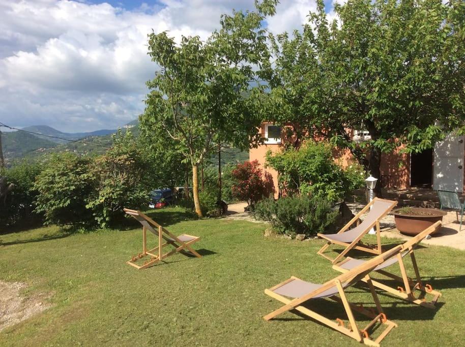 dos sillas de jardín sentadas en el césped en un patio en Maison avec vue imprenable, en Millau