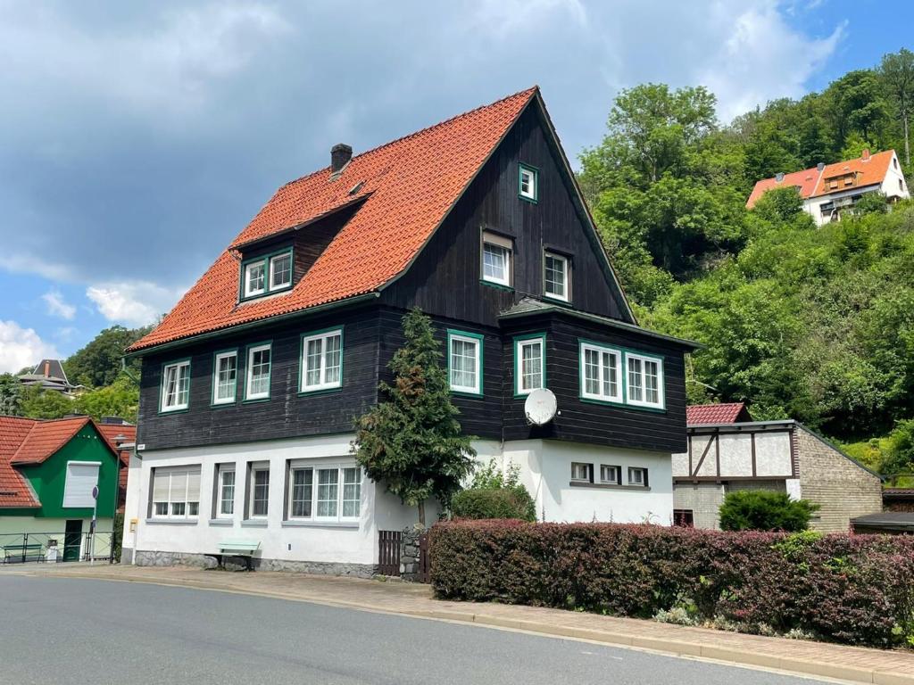 a black and white house with an orange roof at Sonniges Apartment Altenbrak in Altenbrak