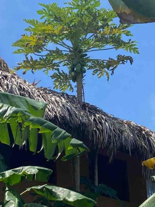 Fotografie z fotogalerie ubytování Sea view Casita Eco Casa Algana v destinaci Caña Félix