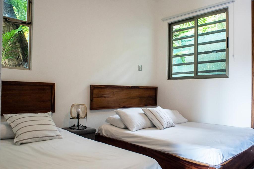 Room at Nautilus Surf and Yoga Villas
