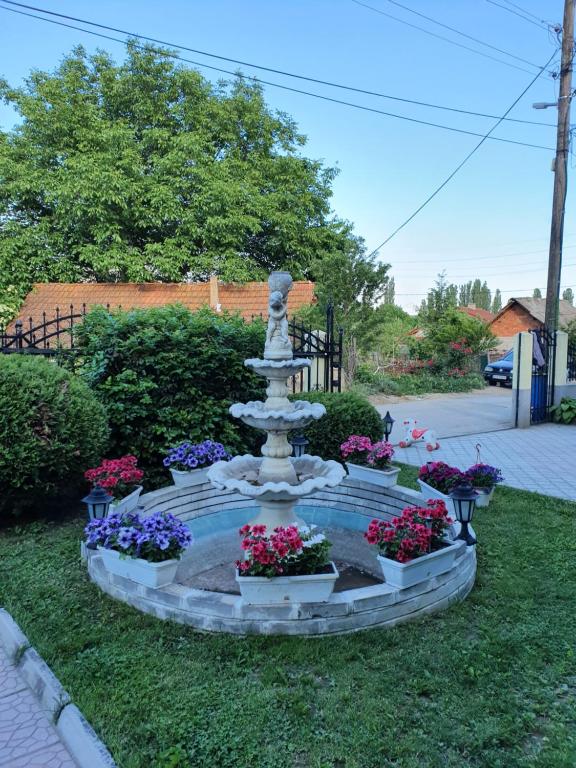 Zahrada ubytování Apartment Cace