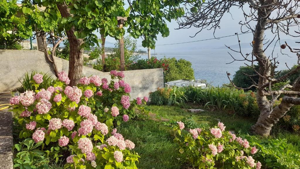 un jardín con flores rosas y el océano en el fondo en Apartments Mare Croatia, en Senj