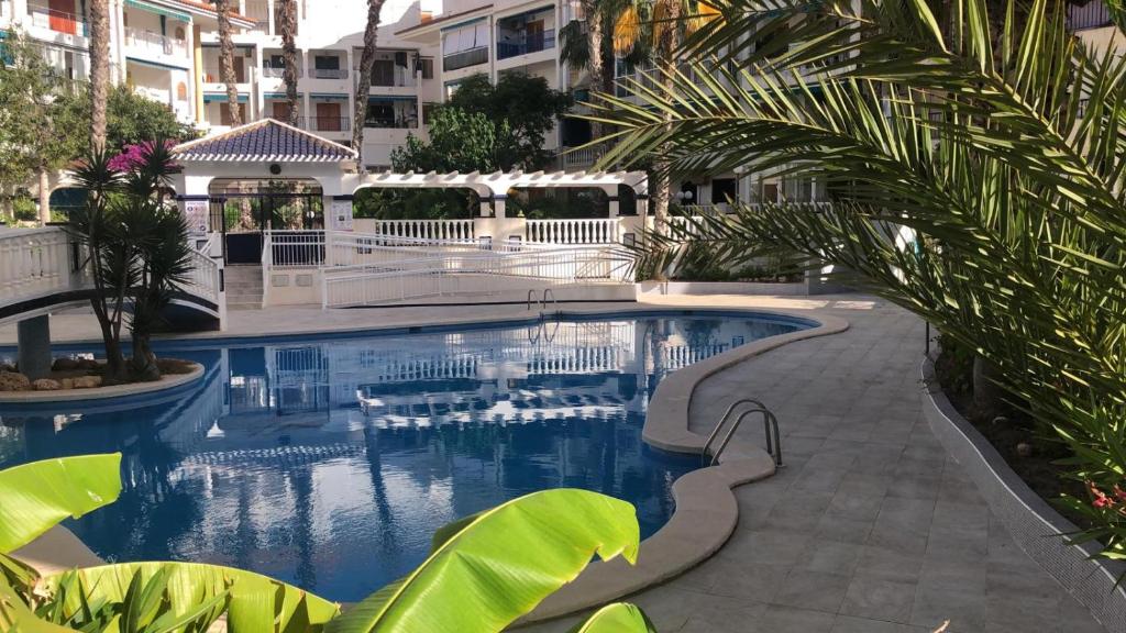 Bazén v ubytovaní Apartment near La Mata beach alebo v jeho blízkosti