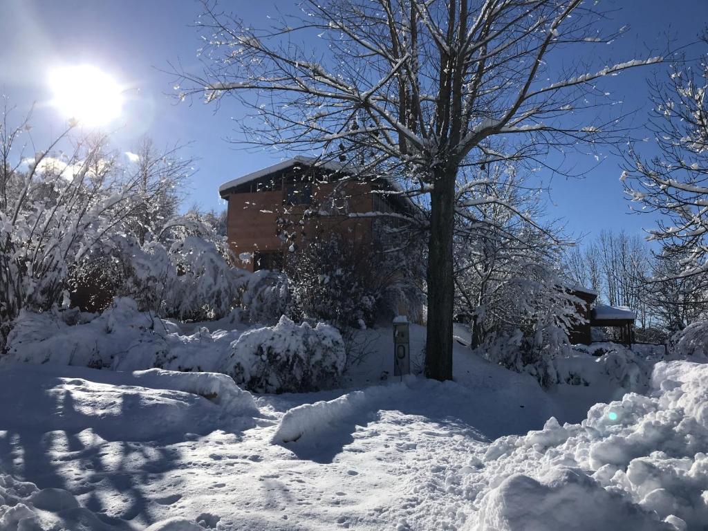 a snow covered yard with a tree and a house at Chalet 6/8 Pers avec jardin sur les pistes de ski in Saint-Léger-les-Mélèzes