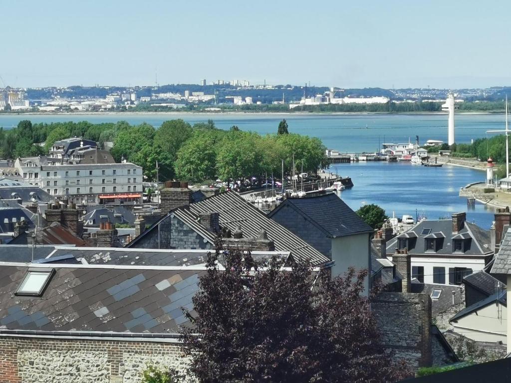 une vue d'une ville avec une rivière et des bâtiments dans l'établissement Le nid perché, à Honfleur
