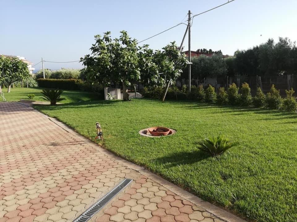 Ein Hund steht im Gras auf einem Hof in der Unterkunft CASA VACANZA DA ZIO NINO in Capo Vaticano